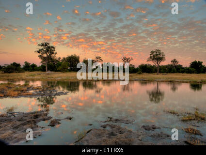 Vor Sonnenaufgang, Moremi Game Reserve, Botswana, Afrika Stockfoto