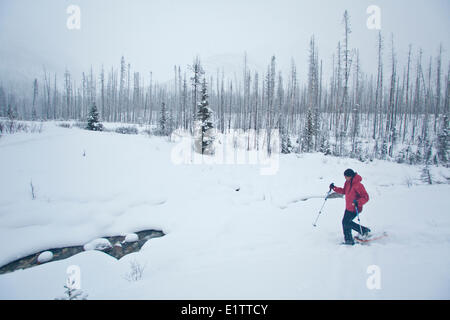 Eine junge Asiatin Schneeschuhwandern in Kootenay National Park, BC Stockfoto