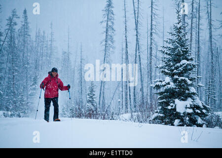 Eine junge Asiatin Schneeschuhwandern in Kootenay National Park, BC Stockfoto