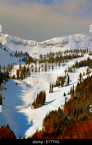 Eidechse Rocky Mountain Range, Fernie, Britisch-Kolumbien, Kanada Stockfoto