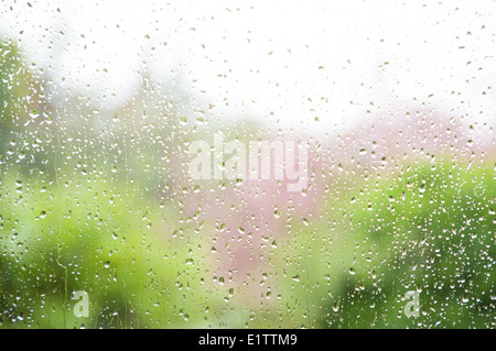 Regentropfen tropfte eine französische Türfenster Stockfoto