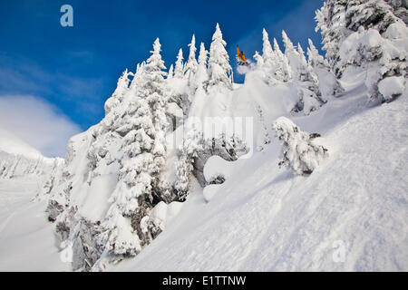 Eine männliche Snowboarder fängt einige von einer Klippe in Revelstoke Mountain Resort Backcountry, Revelstoke, BC Stockfoto