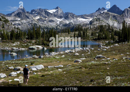 Wanderer am Gwillim Seen, Selkirk Mountains, Valhalla Provincial Park, Britisch-Kolumbien, Kanada Stockfoto