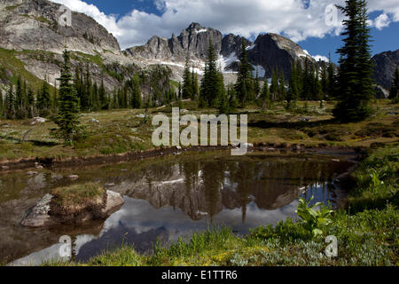 Drinnon Peak spiegelt sich in Tarn in Drinnon Pass, Selkirk Mountains, Valhalla Provincial Park, Britisch-Kolumbien, Kanada Stockfoto