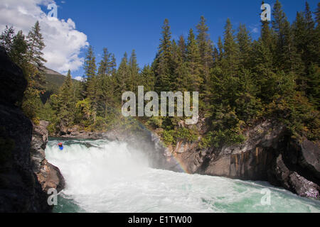 Ein Mann Kajaks Overlander Falls, Fraser River, Mt Robson Provincial Park, BC Stockfoto