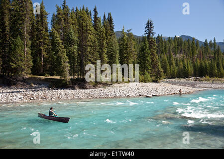 Junger Mann Paddel Kanu Solo auf Kootenay-River, Kootenay National Park, BC, Kanada. Stockfoto