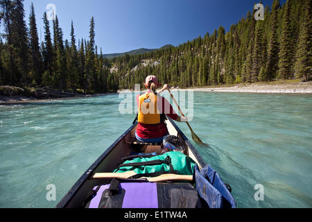 Frau Paddeln im Bug des Kanus auf Kootenay-River, Kootenay National Park, BC, Kanada. Stockfoto