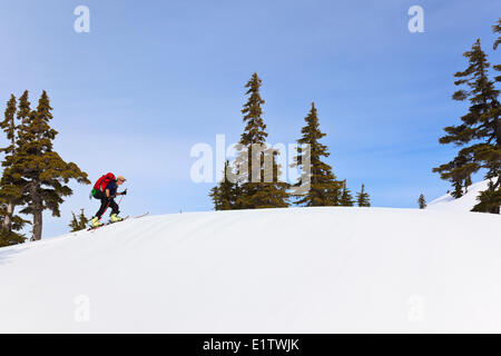 Ein Skifahrer steigt den Weg zum Mt. Steele Kabine im Tetraeder Provincial Park auf der Sunshine Coast British Columbia Kanada. Stockfoto