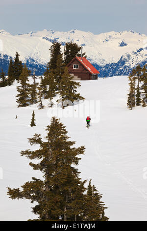 Ein Skifahrer steigt den Weg zum Mt. Steele Kabine im Tetraeder Provincial Park auf der Sunshine Coast British Columbia Kanada. Stockfoto