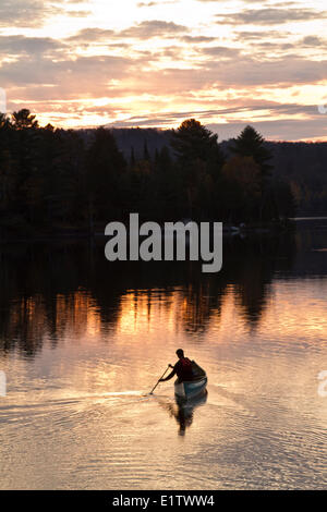 Junger Mann Paddel Solo Kanu auf Habichtsbitterkraut See, Muskoka, Ontario. Stockfoto