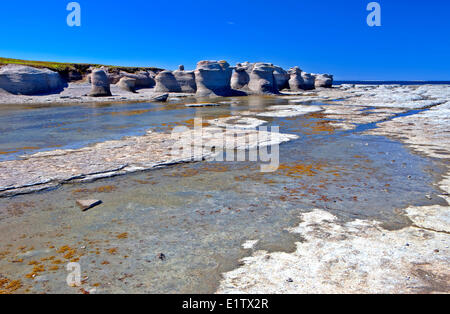 Mingan Archipel Nationalpark Reserve de Parc National de L'Archipel de Mingan Duplessis Northshore St Lawrence Cote Nord Stockfoto