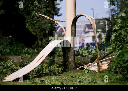 Düsseldorf, Deutschland. 10. Juni 2014. Rinde löst sich ein Baum im Park Hofgarten nach einem heftigen Sturm in Düsseldorf, 10. Juni 2014. North Rhine-Westphalia sah der schwerste Sturm in Jahren. Bildnachweis: Dpa picture Alliance/Alamy Live News Stockfoto