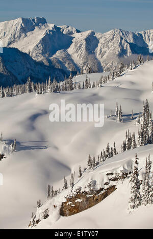 Ein männlicher Backcountry Skifahrer Tropfen eine Klippe während, Skitouren, Sol Berg, Monashee Backcountry, Revelstoke, BC Stockfoto