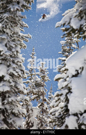 Ein Mann Skifahren Tiefschnee während Skitouren am Sol Berg, Monashee Backcountry, Revelstoke, BC Stockfoto