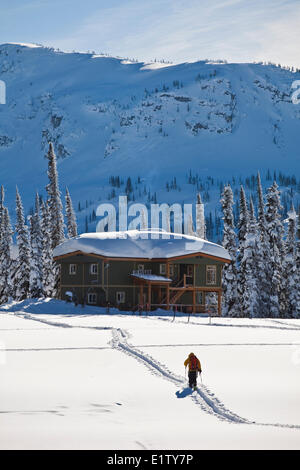 Ein Mann-Skitouren am Sol Mountain Lodge, Monashee Backcountry, Revelstoke, BC Stockfoto