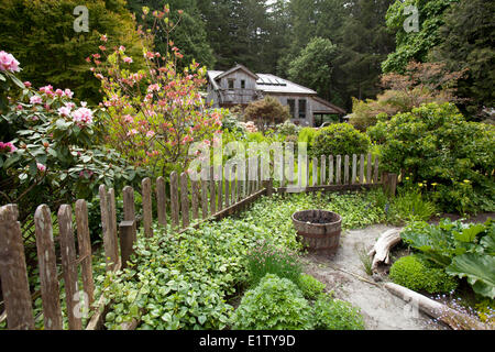 Der Garten am Clayoquot auch bekannt als Stubbs Island im UNESCO-Biosphären-Reservat in der Nähe von Tofino britische Insel zu bewahren Stockfoto