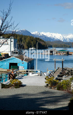 Docks und Schwimmer Ferienhäuser in Tofino, Britisch-Kolumbien, Kanada auf Vancouver Island im Biosphärenreservat Clayoquot Sound. Stockfoto