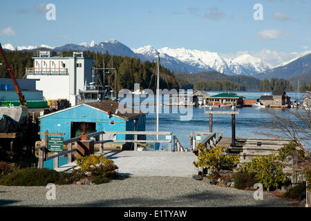 Docks und Schwimmer Ferienhäuser in Tofino, Britisch-Kolumbien, Kanada auf Vancouver Island im Biosphärenreservat Clayoquot Sound. Stockfoto