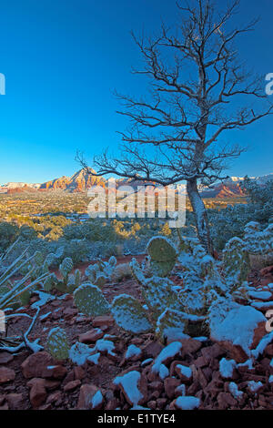 Sedona nach Neuschnee, Arizona, USA Stockfoto