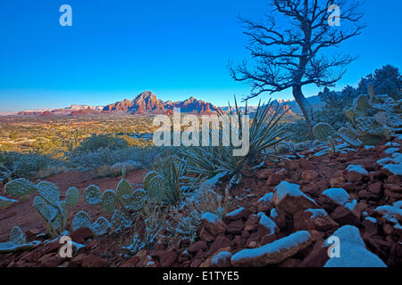 Sedona nach Neuschnee, Arizona, USA Stockfoto