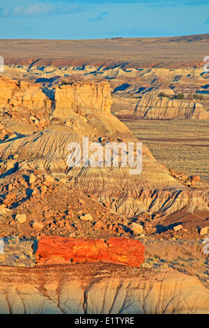 Versteinerte Forest National Park, Arizona, USA Stockfoto