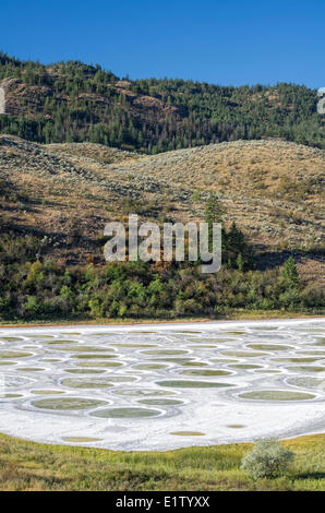 Gefleckte See in der Nähe von Osoyoos, Britisch-Kolumbien, Kanada. Stockfoto