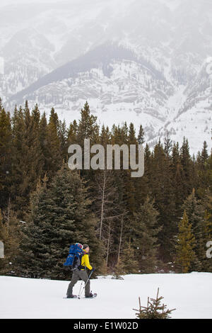 Ein Vater und ein neugeborener Junge gehen für eine Schneeschuhwanderung am Peter Lougheed Provincial Park, Kananaskis, AB Stockfoto