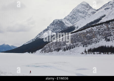 Eine junge Asiatin Schneeschuhwandern in der Nähe von Spray Seen, Kananaskis, AB Stockfoto