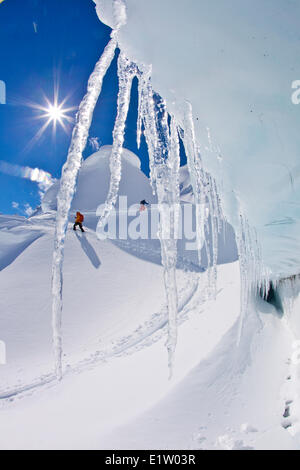 Backcountry Skifahrer und ein Einsatzbereich Touring bis stark spaltenreichen Gletscher am Eisfall Lodge, Canadian Rockies, Golden, BC Stockfoto