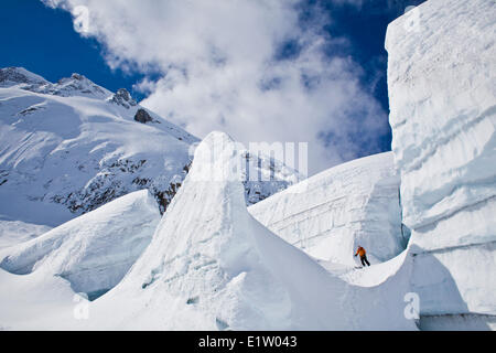 Backcountry Ski touring stark spaltenreichen Gletscher am Eisfall Lodge, Canadian Rockies, Golden, BC Stockfoto