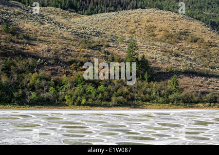 Gefleckte See in der Nähe von Osoyoos, Okanagan Valley, British Columbia, Kanada. Stockfoto