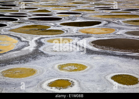 Gefleckte See in der Nähe von Osoyoos, Okanagan Valley, British Columbia, Kanada. Stockfoto