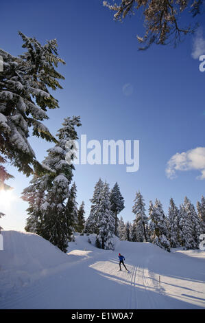 Nordic Skate Skifahren in Cypress Mountain Ski Area, Hollyburn Berg. Cypress Bowl, West Vancouver. British Columbia, Kanada Stockfoto