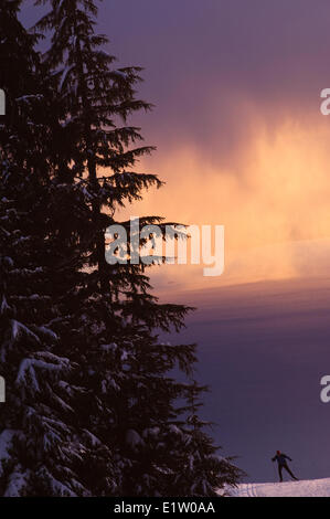 Nordic Skate Skifahren in Cypress Mountain Ski Area, Hollyburn Berg. Cypress Bowl, West Vancouver. British Columbia, Kanada Stockfoto