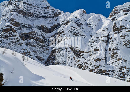 Ein männlicher Backcountry Skifahrer Tele mit Skiern finden Tiefschnee an einem Bluebird Tag. Mt. Bell, Banff National Park, AB Stockfoto