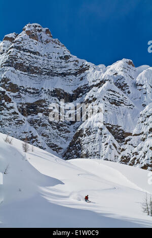 Ein männlicher Backcountry Skifahrer Tele mit Skiern finden Tiefschnee an einem Bluebird Tag. Mt. Bell, Banff National Park, AB Stockfoto