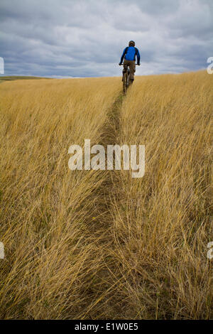 Ein männliche Mountainbiker genießt die schönen Singletrails von Maah Daah Hey Trail, North Dakota Stockfoto