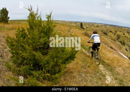 Ein männliche Mountainbiker genießt die schönen Singletrails von Maah Daah Hey Trail, North Dakota Stockfoto