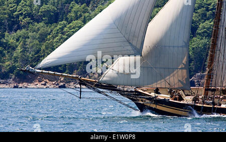 Segelschiff, die stolz Baltimore II Halifax Hafen während der Parade Segeln Abschluss große Schiffe-Festival 2012 in fährt Stockfoto