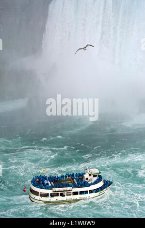 Magd des Nebel Bootes die Touristen an der Unterseite von Niagara Falls Stockfoto