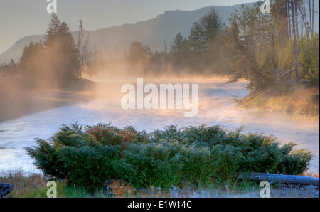 Madison River am Morgen, Yellowstone-Nationalpark, Wyoming, USA Stockfoto