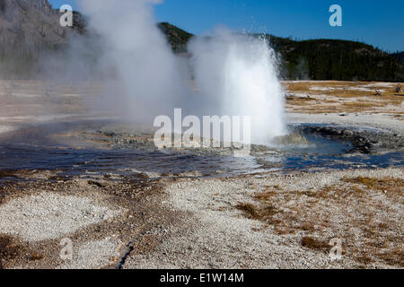 Ausbruch des Juwel Geysir, Keks-Geysir-Becken, Yellowstone-Nationalpark, Wyoming, USA Stockfoto