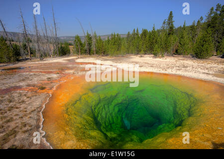 Morning Glory Pool, Upper Geyser Basin, Yellowstone-Nationalpark, Wyoming, USA Stockfoto