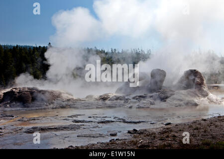 Grotto Geysir, Upper Geyser Basin, Yellowstone-Nationalpark, Wyoming, USA Stockfoto