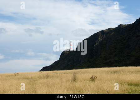 Leuchtturm auf Felsen, Cape Palliser, Wairarapa, Nordinsel, Neuseeland Stockfoto
