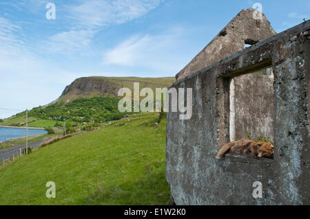 Am Meer fahren, Küstenstraße, County Antrim, Nordirland Stockfoto