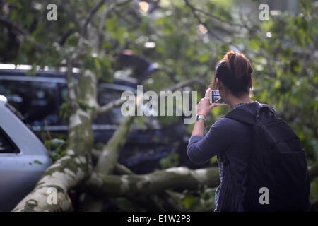 Düsseldorf, Deutschland. 10. Juni 2014. Eine Frau nimmt ein Bild von einem umstürzenden Baum auf einem Auto in Düsseldorf, 10. Juni 2014. North Rhine-Westphalia traf der schwerste Sturm im Jahre am 9. Juni 2014. Foto: MATTHIAS BALK/DPA/Alamy Live-Nachrichten Stockfoto