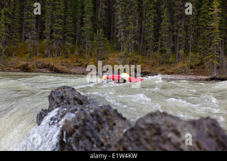 Eine weibliche Kajakfahrer schwimmen über eine gefährliche schnelle auf der Red Deer River, AB Stockfoto