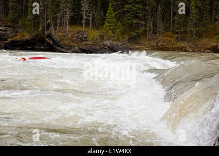 Eine weibliche Kajakfahrer schwimmen über eine gefährliche schnelle auf der Red Deer River, AB Stockfoto