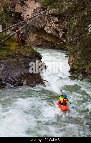 Eine männliche Kajakfahrer Fallenlassen eines Wasserfalls auf Johnston Canyon, Banff National Park, AB Stockfoto